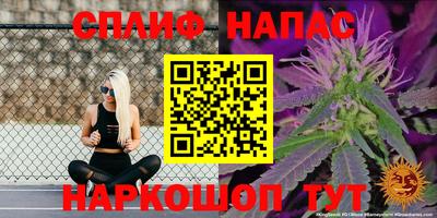 мдпв Аргун