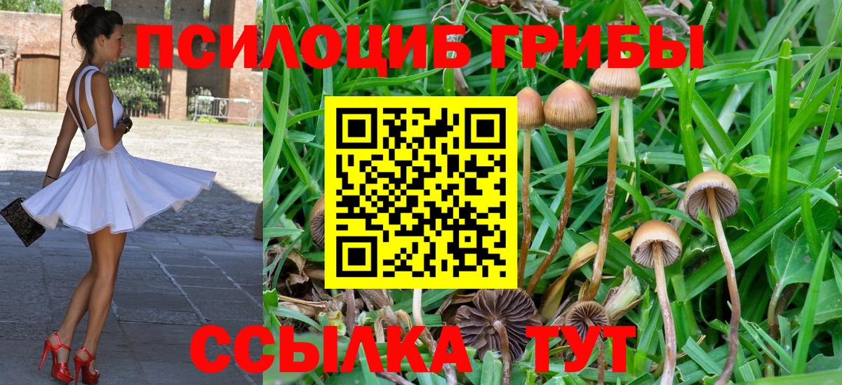 Галлюциногенные грибы мухоморы Астрахань