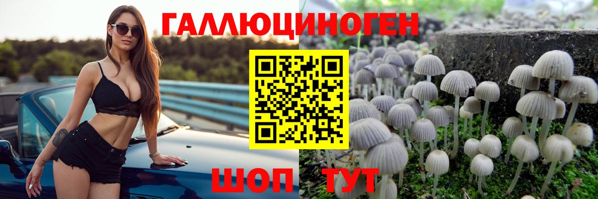 как найти закладки  Псилоцибиновые грибы мухоморы  Галлюциногенные грибы MAGIC MUSHROOMS  Вход с VPN  Астрахань 